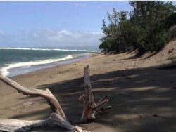 Waihee Beach