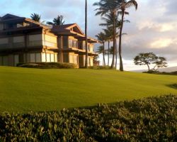 Wailea Maui Rental Golden Condo
