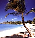 Napili Beach