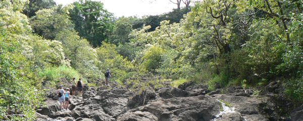 Maui Bamboo Hike