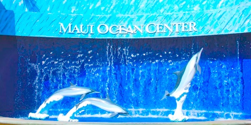 Maui Ocean Center