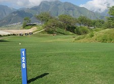 Maui Golf 