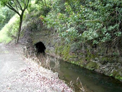 Waihee Valley Hike